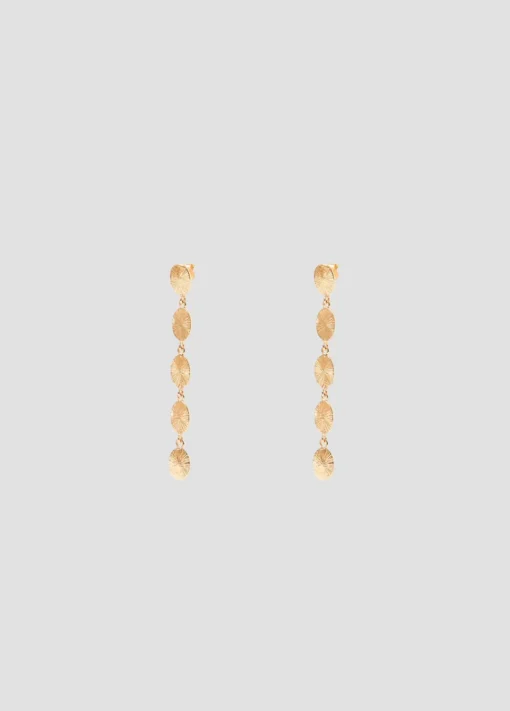 Pendientes Largos Cinco Chapas Ovaladas